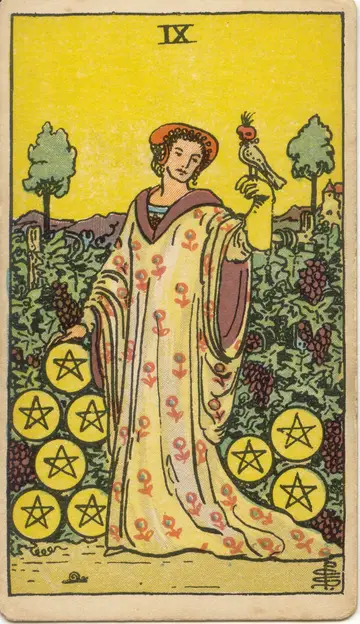 Lá Nine of Pentacles (Chín Xu)