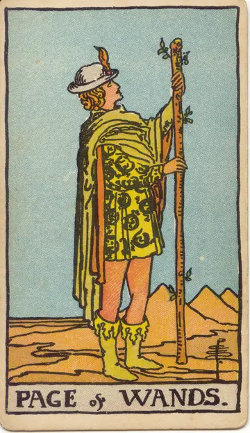 Lá Page of Wands (Thị Đồng Gậy)