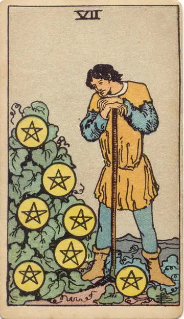 Lá Seven of Pentacles (Bảy Xu)