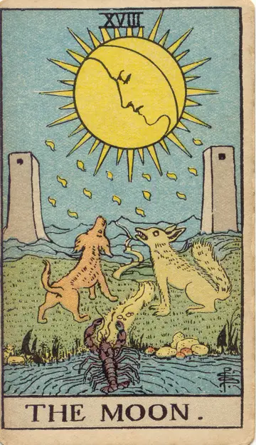 Lá The Moon (Mặt Trăng)